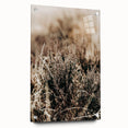 Farmhouse Wall Art of Autumn Wild Grass – Rustic Country Style Decor