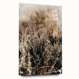 Farmhouse Wall Art of Autumn Wild Grass – Rustic Country Style Decor