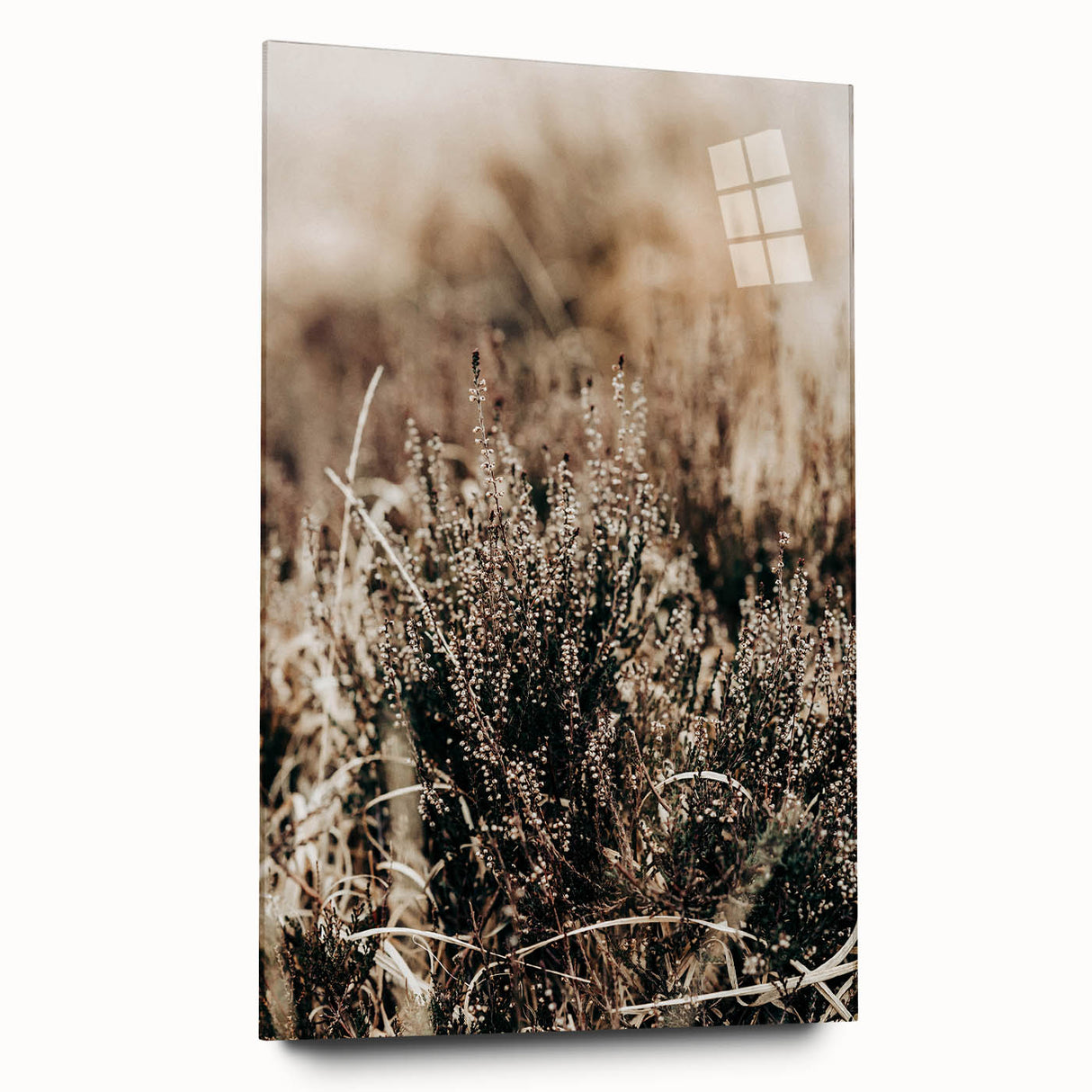 Farmhouse Wall Art of Autumn Wild Grass – Rustic Country Style Decor