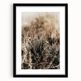 Farmhouse Wall Art of Autumn Wild Grass – Rustic Country Style Decor
