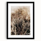 Farmhouse Wall Art of Autumn Wild Grass – Rustic Country Style Decor