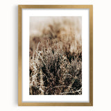Farmhouse Wall Art of Autumn Wild Grass – Rustic Country Style Decor