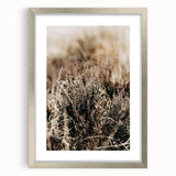 Farmhouse Wall Art of Autumn Wild Grass – Rustic Country Style Decor
