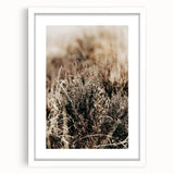 Farmhouse Wall Art of Autumn Wild Grass – Rustic Country Style Decor