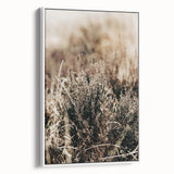 Farmhouse Wall Art of Autumn Wild Grass – Rustic Country Style Decor