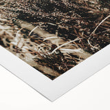 Farmhouse Wall Art of Autumn Wild Grass – Rustic Country Style Decor