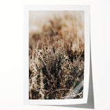 Farmhouse Wall Art of Autumn Wild Grass – Rustic Country Style Decor