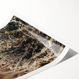 Farmhouse Wall Art of Autumn Wild Grass – Rustic Country Style Decor