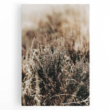 Farmhouse Wall Art of Autumn Wild Grass – Rustic Country Style Decor