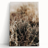 Farmhouse Wall Art of Autumn Wild Grass – Rustic Country Style Decor