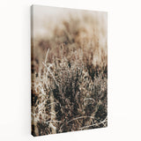 Farmhouse Wall Art of Autumn Wild Grass – Rustic Country Style Decor