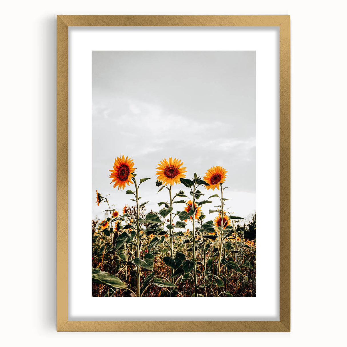 Farmhouse Wall Art Sunflower Field Print | Rustic Country Style Decor