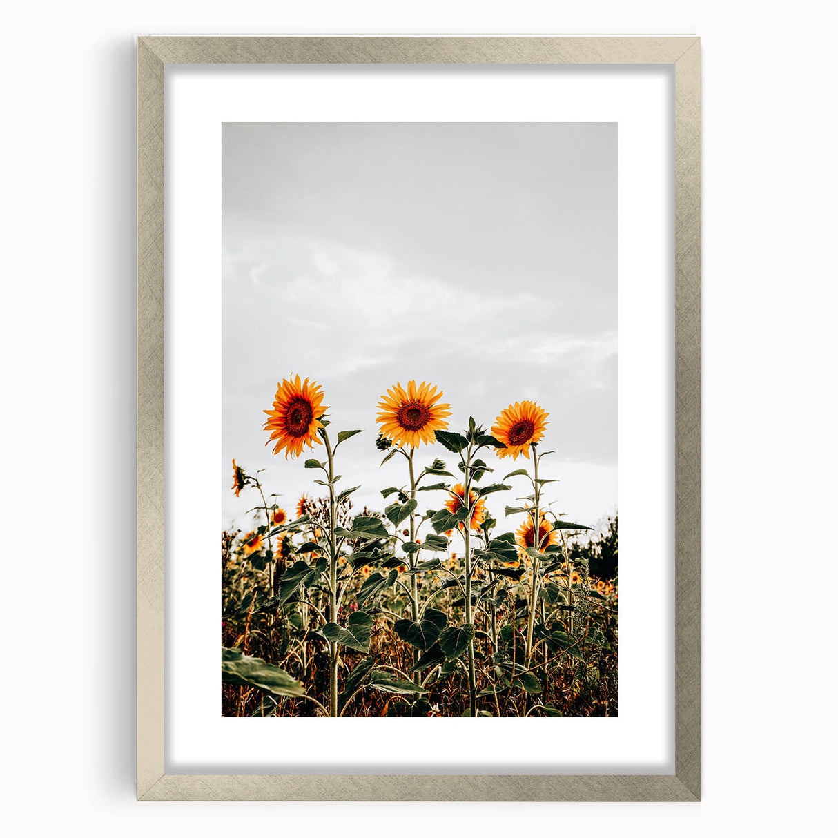 Farmhouse Wall Art Sunflower Field Print | Rustic Country Style Decor
