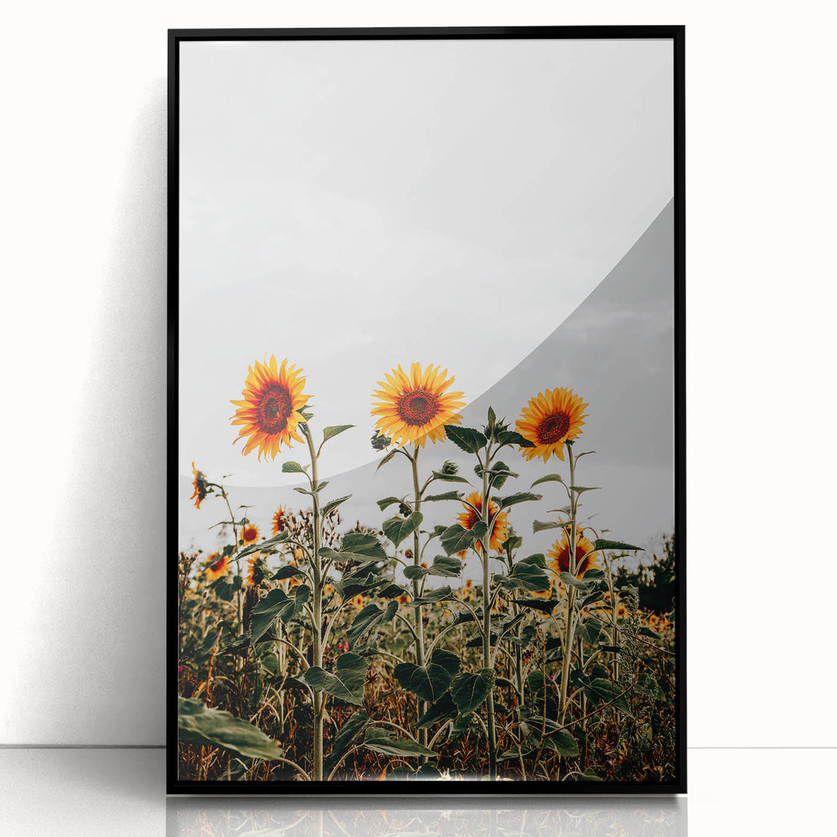 Farmhouse Wall Art Sunflower Field Print | Rustic Country Style Decor