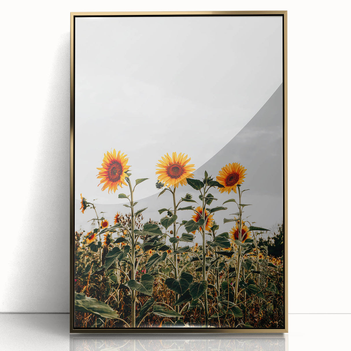 Farmhouse Wall Art Sunflower Field Print | Rustic Country Style Decor