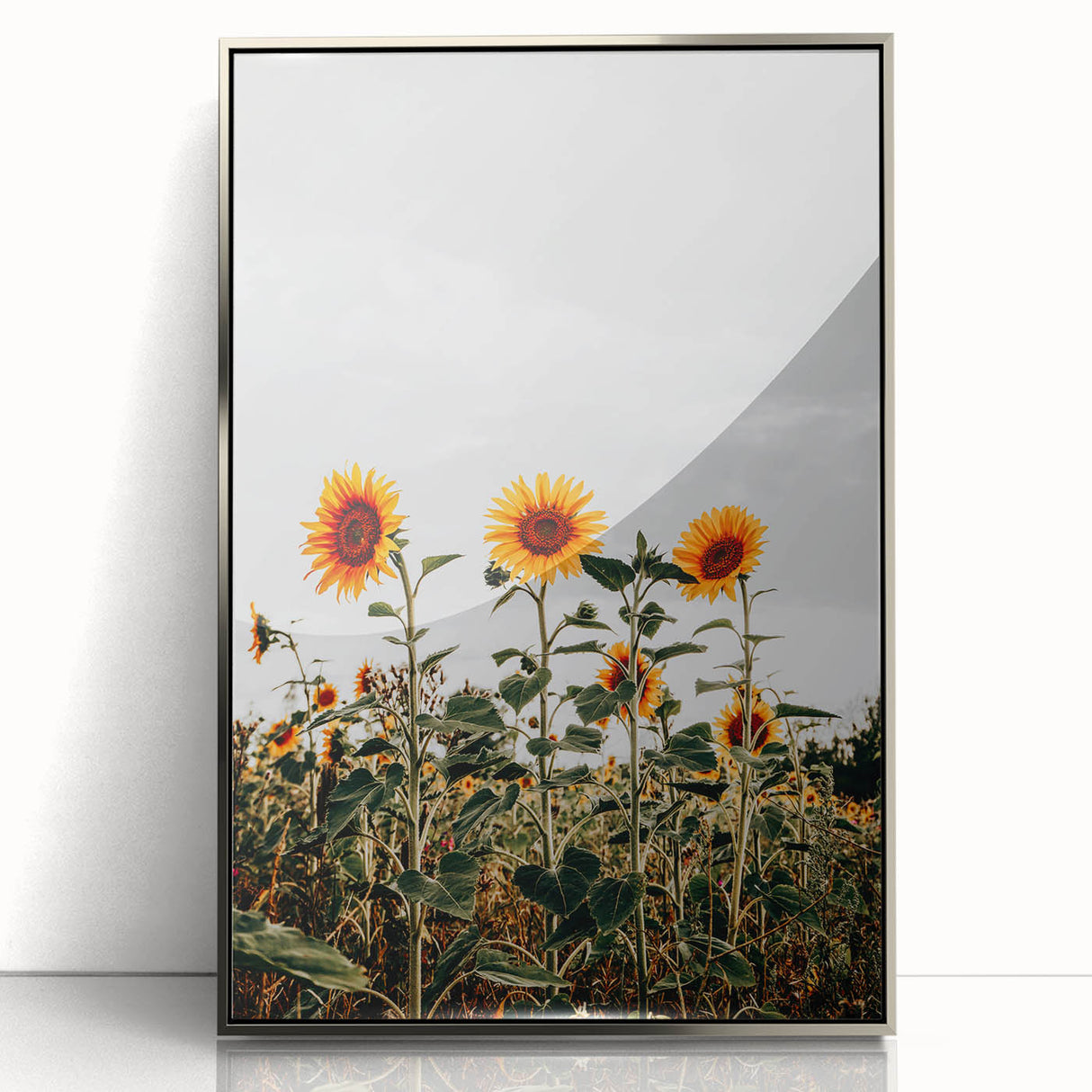 Farmhouse Wall Art Sunflower Field Print | Rustic Country Style Decor