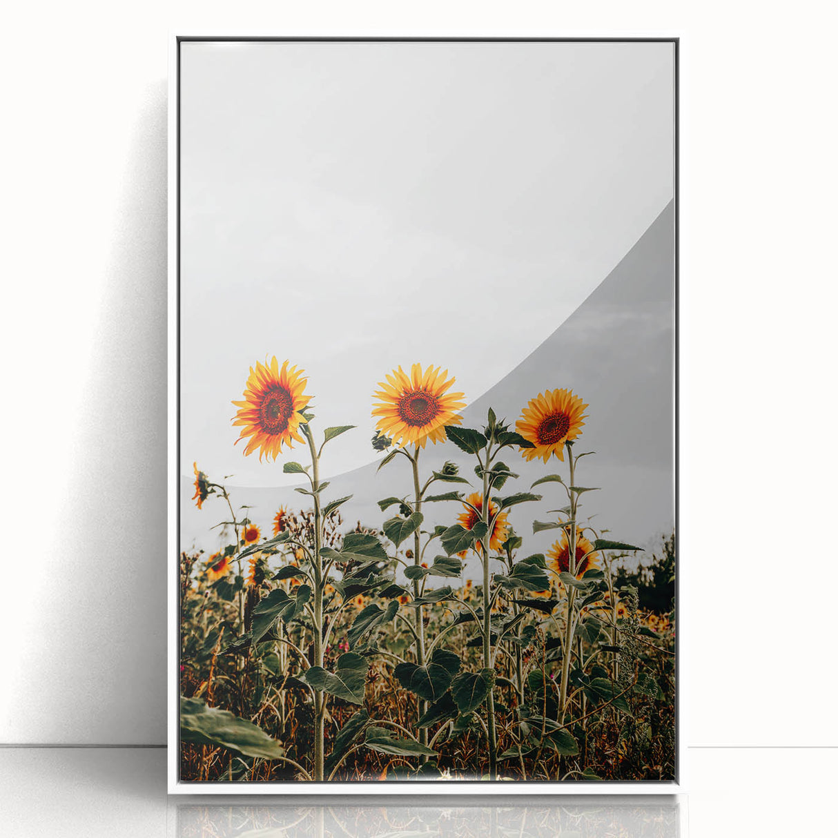 Farmhouse Wall Art Sunflower Field Print | Rustic Country Style Decor