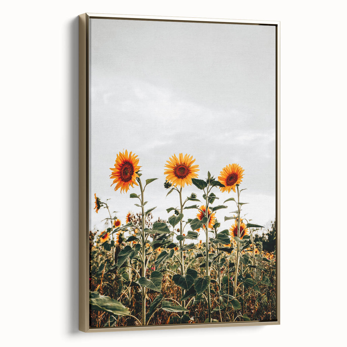 Farmhouse Wall Art Sunflower Field Print | Rustic Country Style Decor