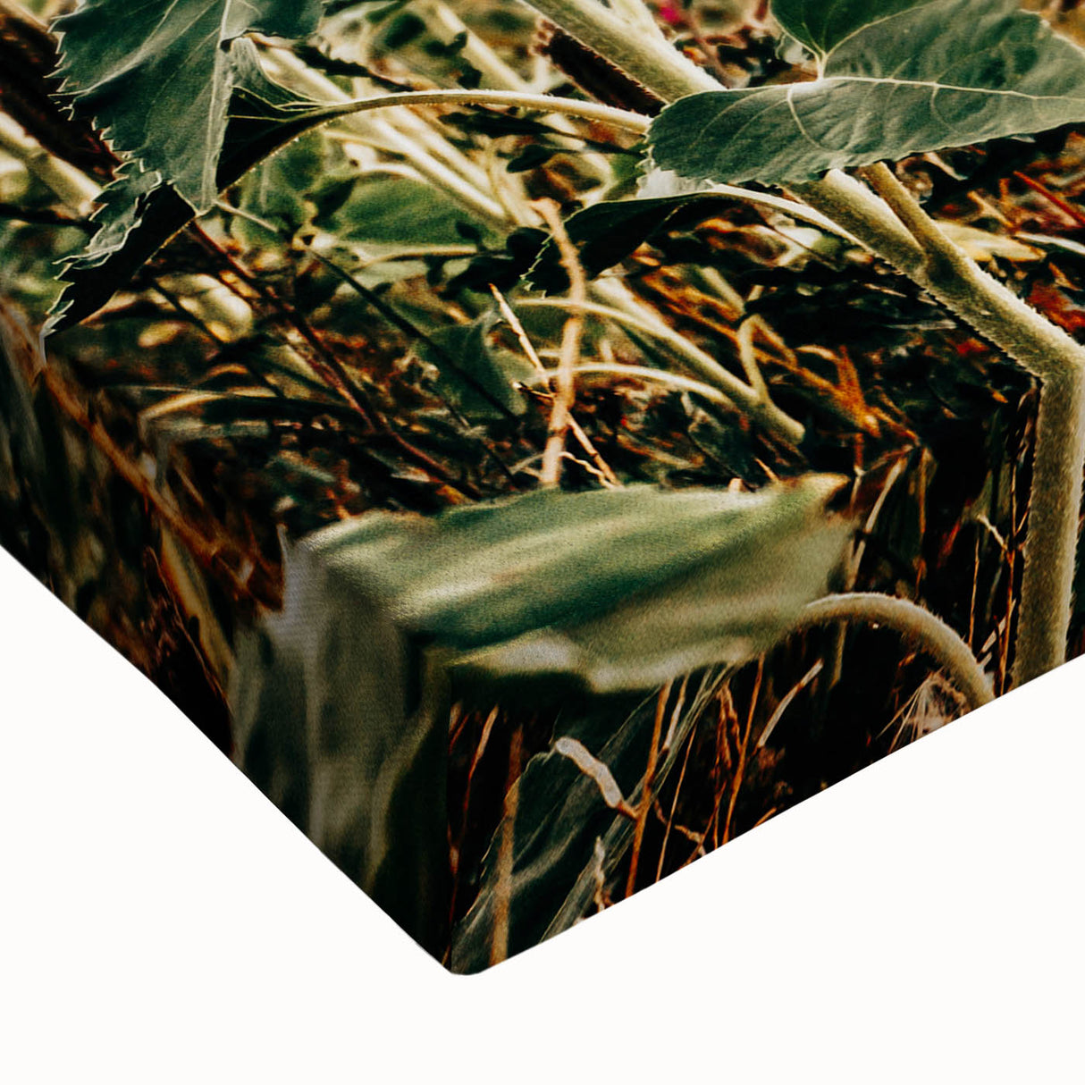 Farmhouse Wall Art Sunflower Field Print | Rustic Country Style Decor