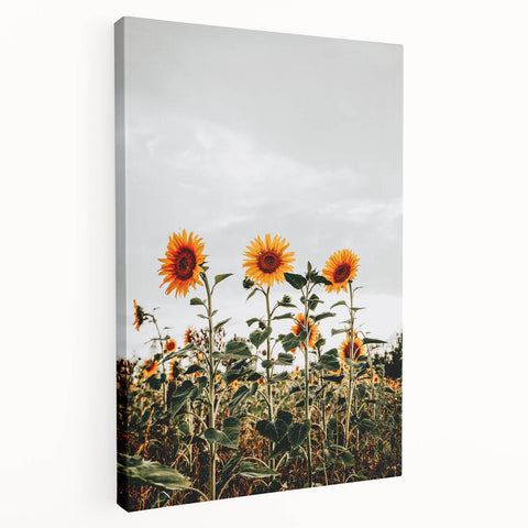 Farmhouse Wall Art Sunflower Field Print | Rustic Country Style Decor