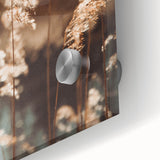 Farmhouse Wall Art of Sunlit Wheat Stalks – Rustic Country Style Decor