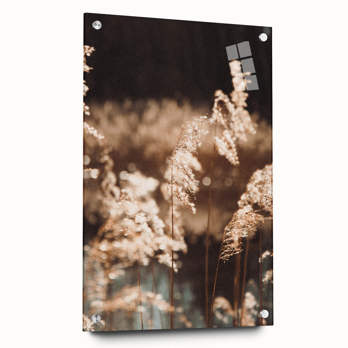 Farmhouse Wall Art of Sunlit Wheat Stalks – Rustic Country Style Decor