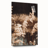 Farmhouse Wall Art of Sunlit Wheat Stalks – Rustic Country Style Decor