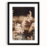 Farmhouse Wall Art of Sunlit Wheat Stalks – Rustic Country Style Decor