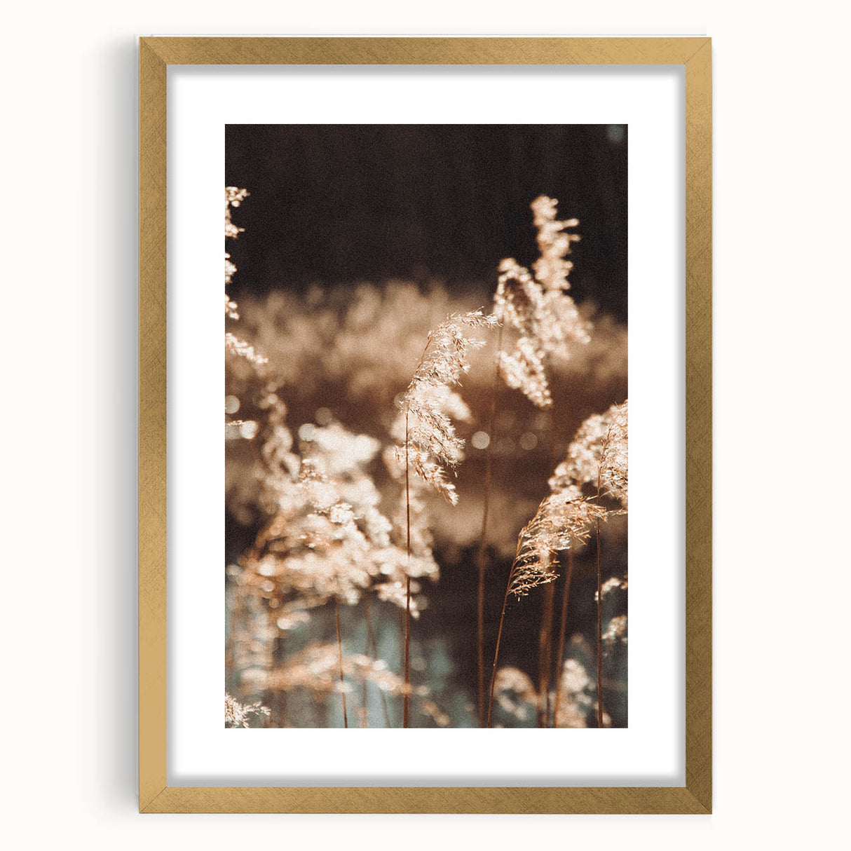 Farmhouse Wall Art of Sunlit Wheat Stalks – Rustic Country Style Decor