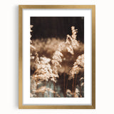 Farmhouse Wall Art of Sunlit Wheat Stalks – Rustic Country Style Decor