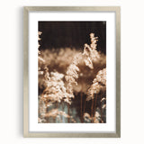Farmhouse Wall Art of Sunlit Wheat Stalks – Rustic Country Style Decor