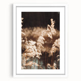 Farmhouse Wall Art of Sunlit Wheat Stalks – Rustic Country Style Decor