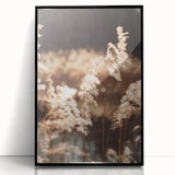 Farmhouse Wall Art of Sunlit Wheat Stalks – Rustic Country Style Decor