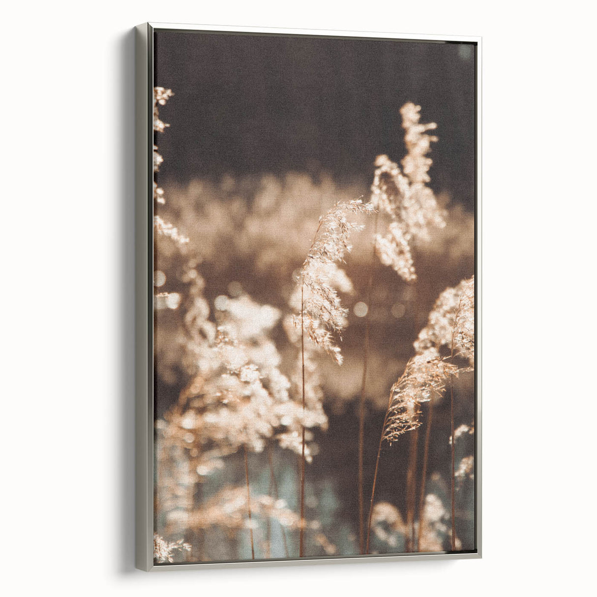 Farmhouse Wall Art of Sunlit Wheat Stalks – Rustic Country Style Decor