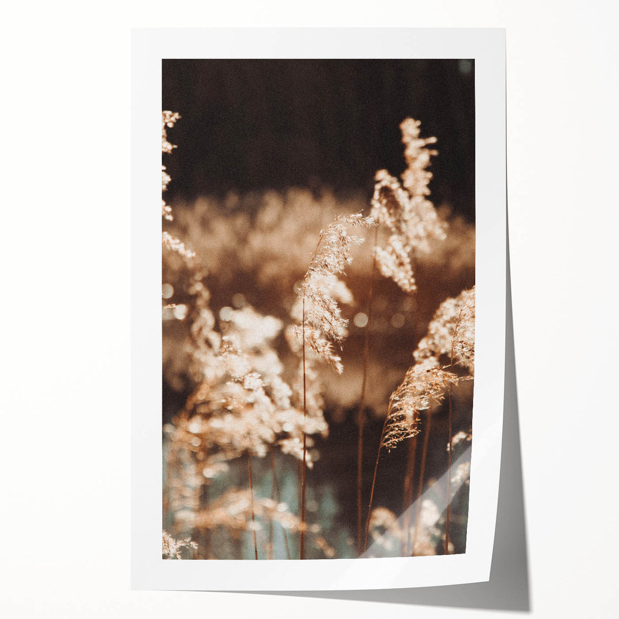 Farmhouse Wall Art of Sunlit Wheat Stalks – Rustic Country Style Decor
