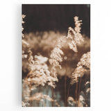 Farmhouse Wall Art of Sunlit Wheat Stalks – Rustic Country Style Decor