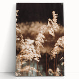 Farmhouse Wall Art of Sunlit Wheat Stalks – Rustic Country Style Decor