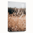Sunlit Grass Field Farmhouse Wall Art – Rustic Country Style Decor