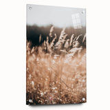 Sunlit Grass Field Farmhouse Wall Art – Rustic Country Style Decor