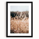 Sunlit Grass Field Farmhouse Wall Art – Rustic Country Style Decor