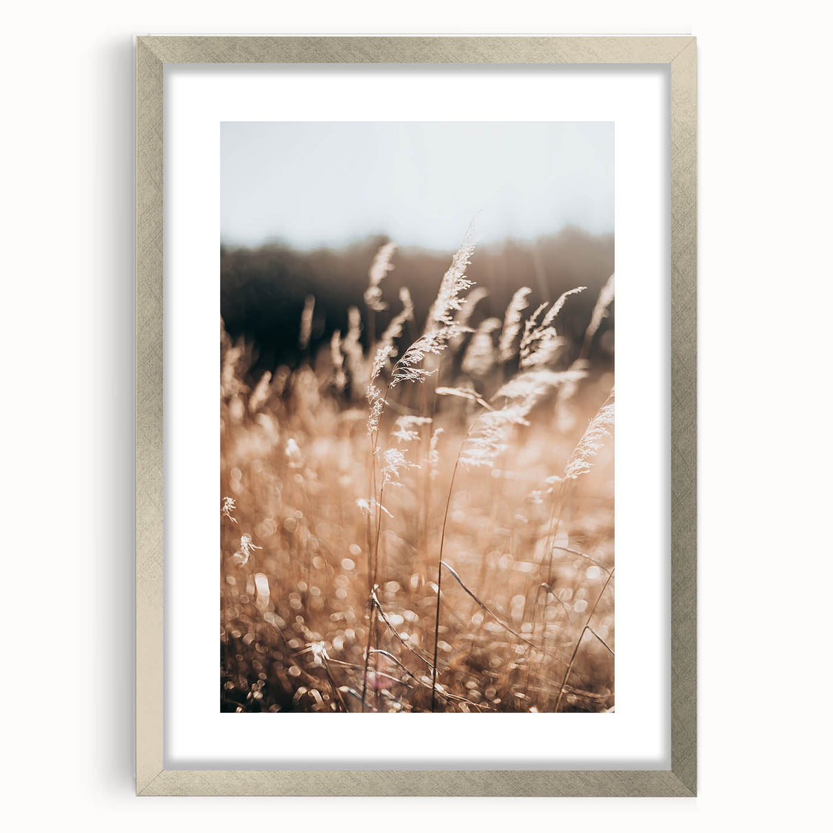 Sunlit Grass Field Farmhouse Wall Art – Rustic Country Style Decor