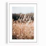 Sunlit Grass Field Farmhouse Wall Art – Rustic Country Style Decor