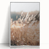 Sunlit Grass Field Farmhouse Wall Art – Rustic Country Style Decor
