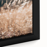 Sunlit Grass Field Farmhouse Wall Art – Rustic Country Style Decor