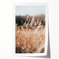 Sunlit Grass Field Farmhouse Wall Art – Rustic Country Style Decor