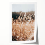 Sunlit Grass Field Farmhouse Wall Art – Rustic Country Style Decor