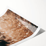 Sunlit Grass Field Farmhouse Wall Art – Rustic Country Style Decor