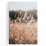 Sunlit Grass Field Farmhouse Wall Art – Rustic Country Style Decor