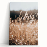 Sunlit Grass Field Farmhouse Wall Art – Rustic Country Style Decor