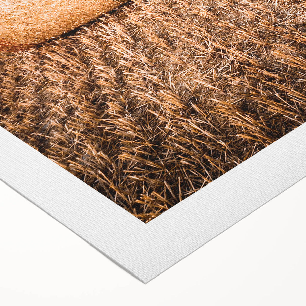 Farmhouse Wall Art of Hay Bales in Field – Rustic Country Style Decor